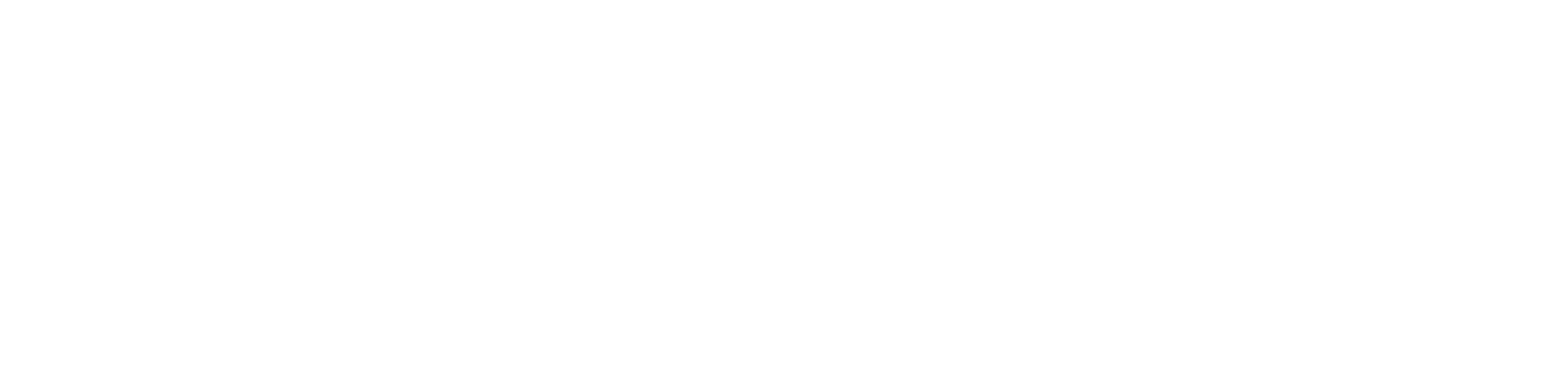 AnimalRacing